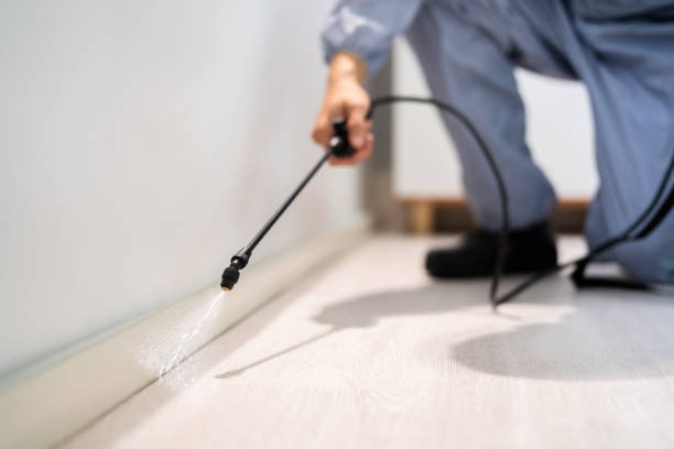 Licensed Cockroach Control service in Sumter, SC - Nex Pest Control