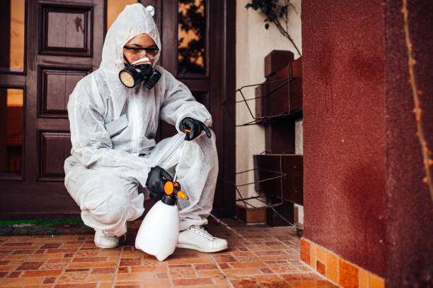 Reliable Cockroach Control contractor in Sumter, SC by Nex Pest Control